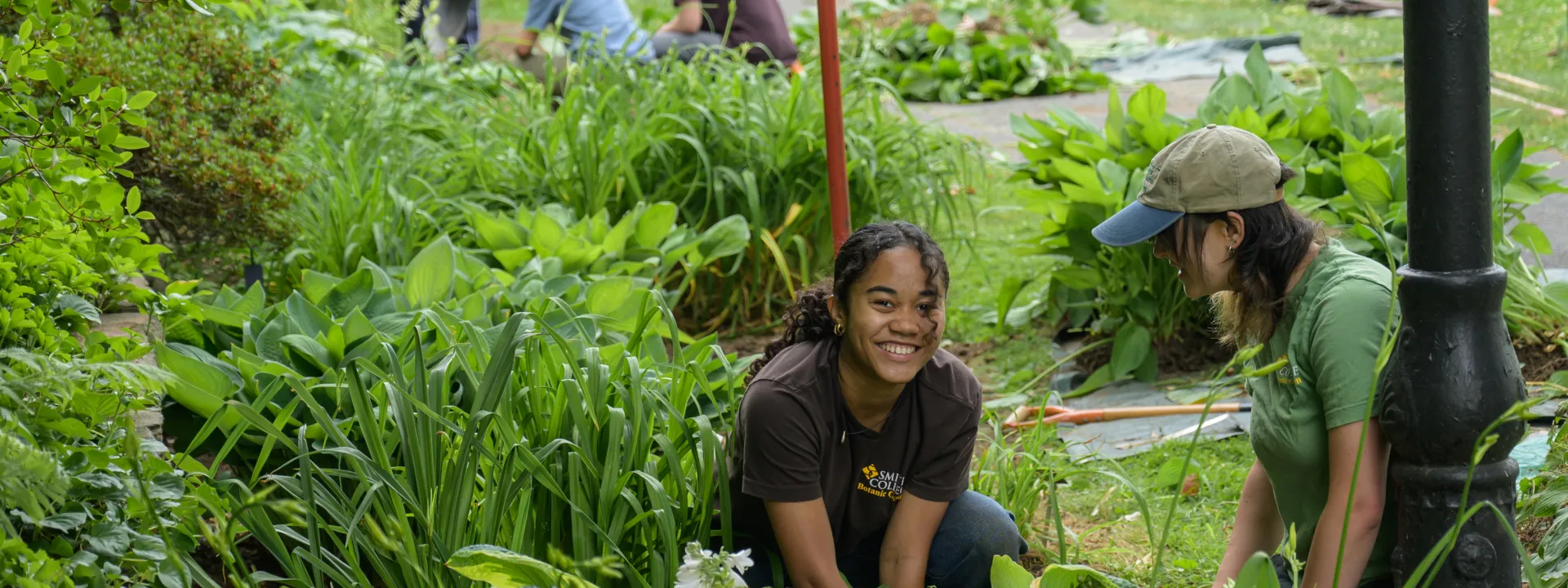 Group of seven students working in a green garden bed. 