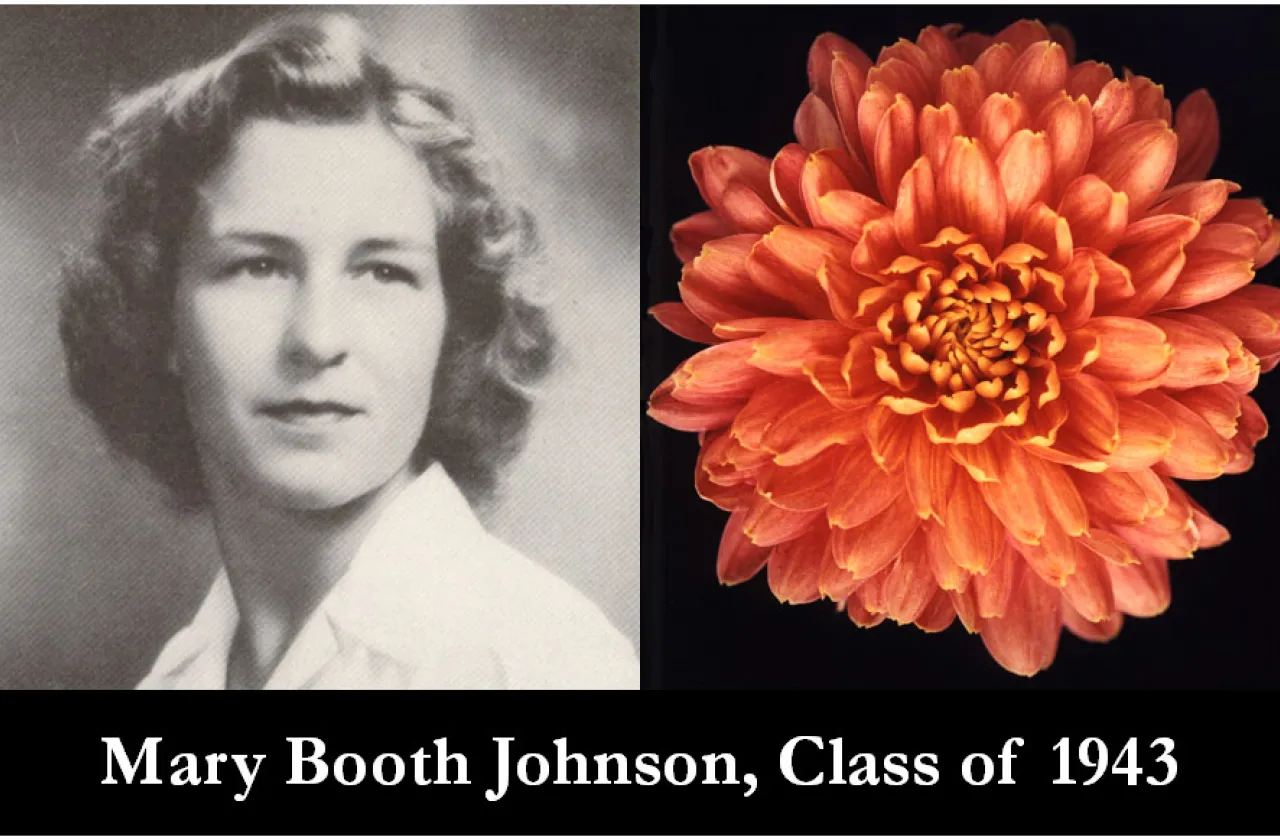 1940 mum winner