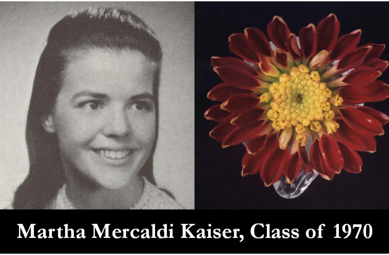1970 Mum Show Winner