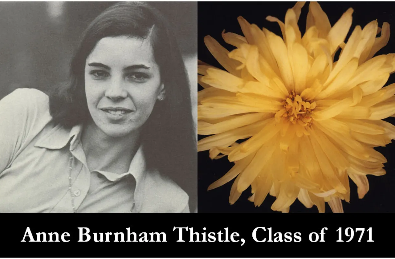 1971 Mum Show Winner