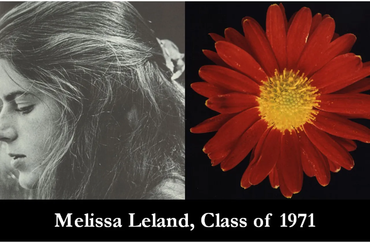 1971 Mum Show Winner