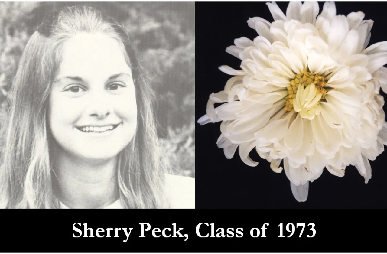 1973 Mum Show Winner