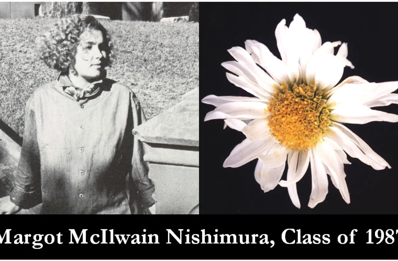 1987 Mum Show Winner