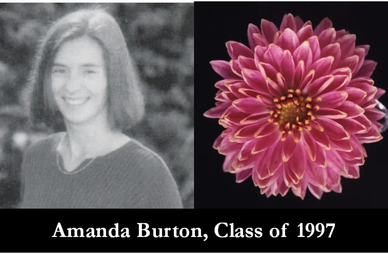 1997 Mum Show Winner