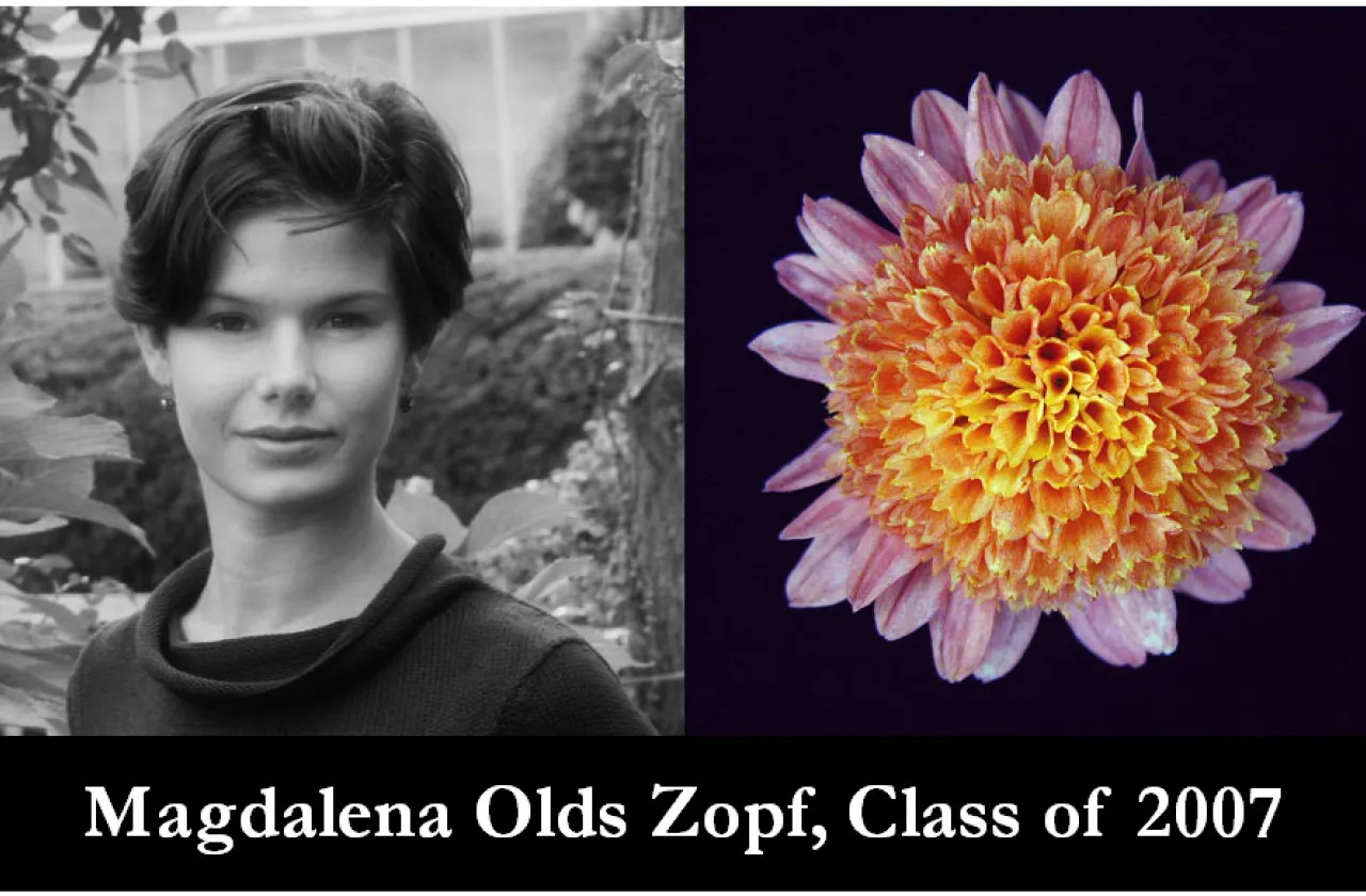 2004 Mum Show Winner