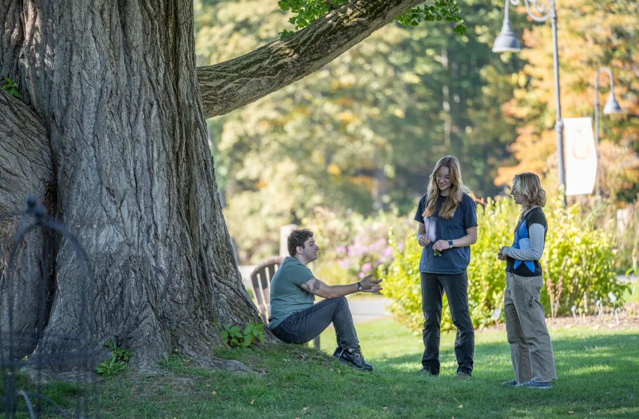 Two students standing and one sitting under a big ginkgo tree.