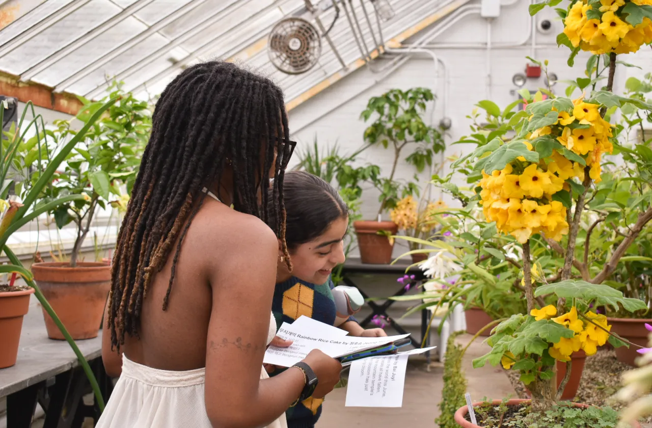 Two students looking at a plant with yellow flowers in the conservatory.