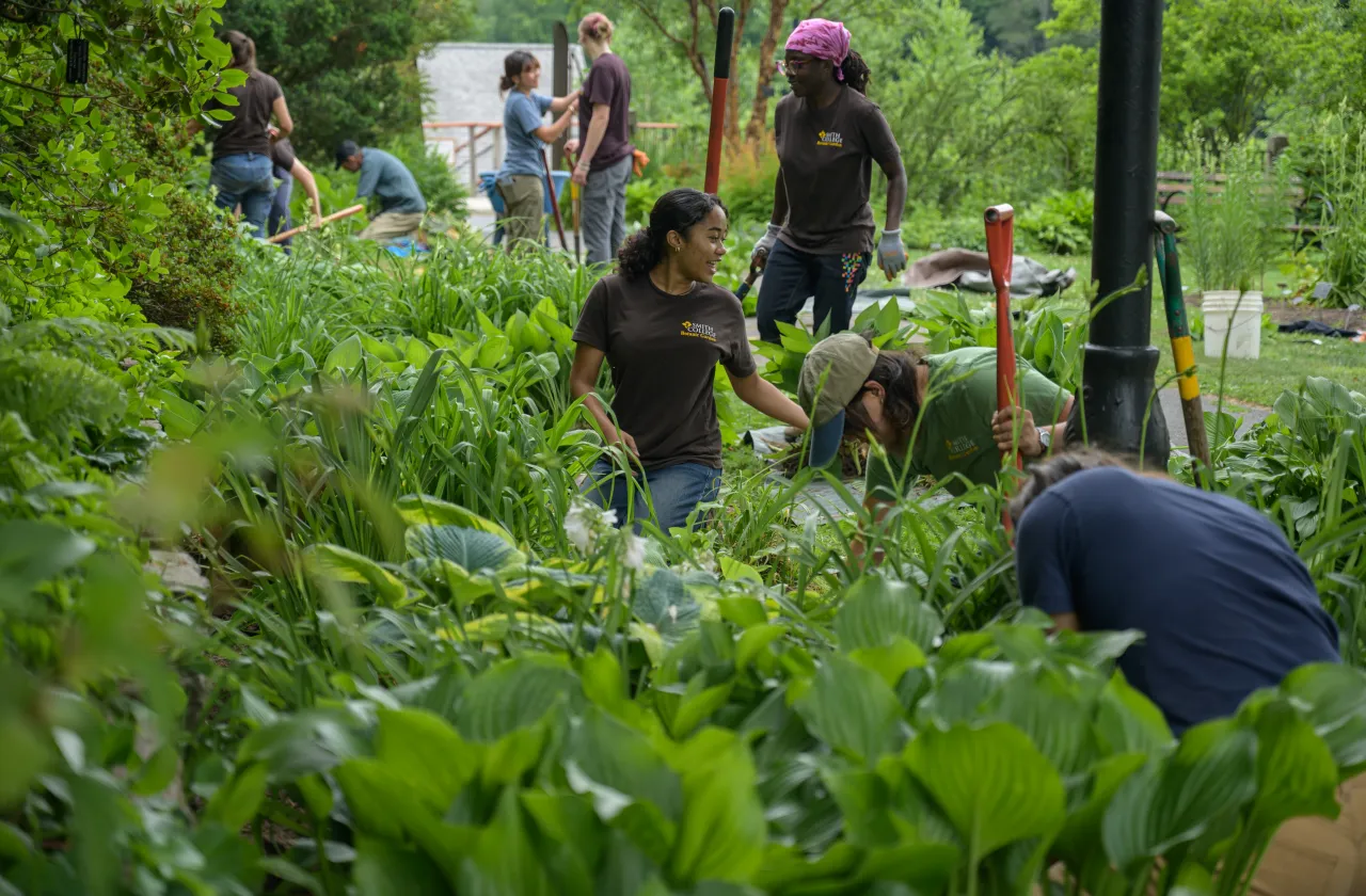 Green garden bed with seven various students working in it. 
