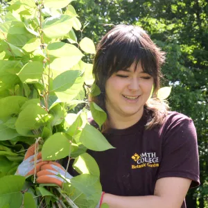 Student with black hair carrying a bundle of plant cuttings over their shoulder. 