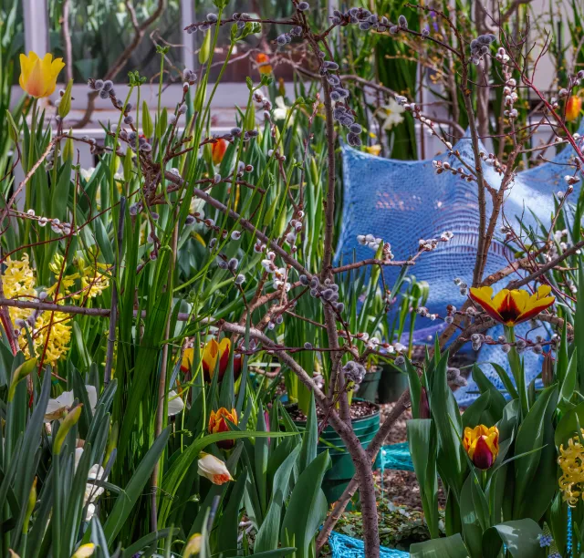 art in bloom