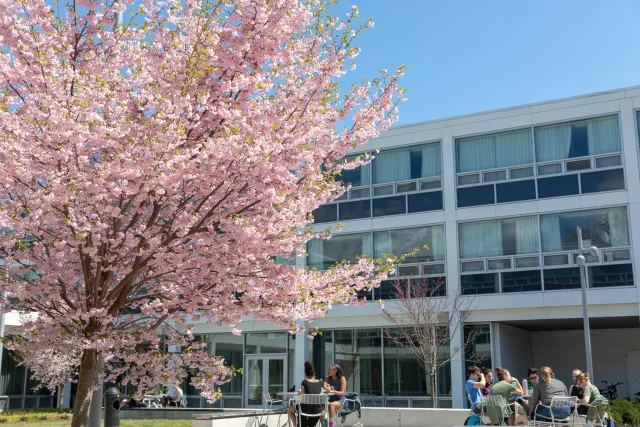 flowering trees