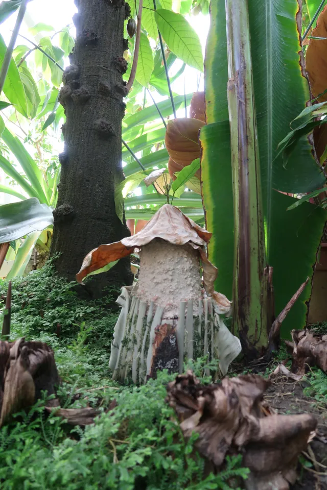 gnome homes