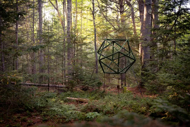 Image of a forest landscape with dappled golden light, and a large hexagonal scultpure art installation that is just lines and green.