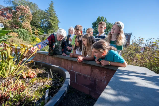 woman with white hair teaching a group of 10 year old students around plants