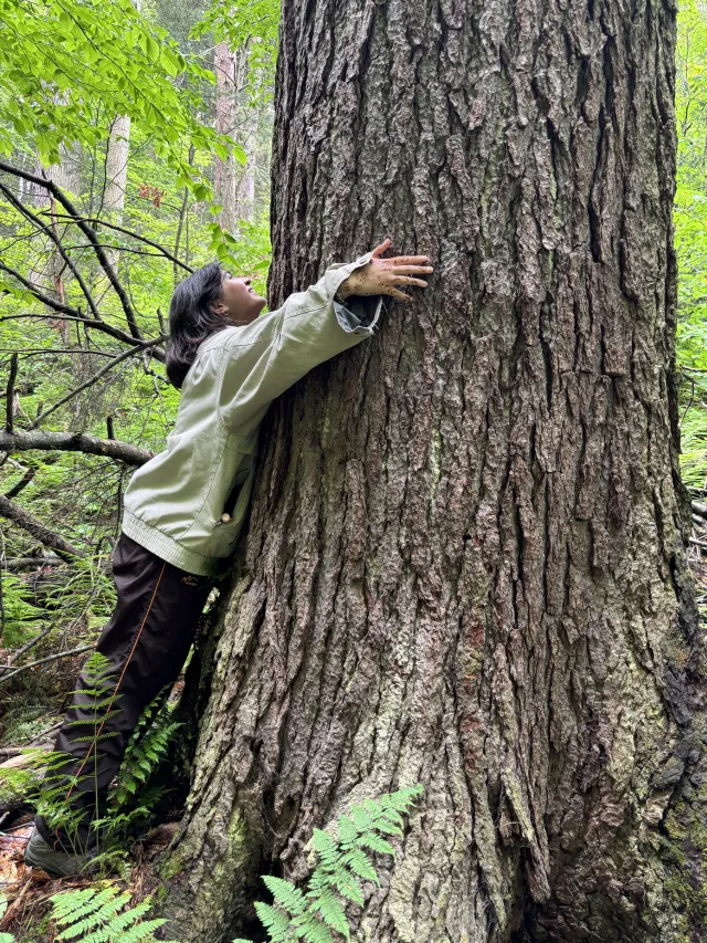 female student hugging a tree