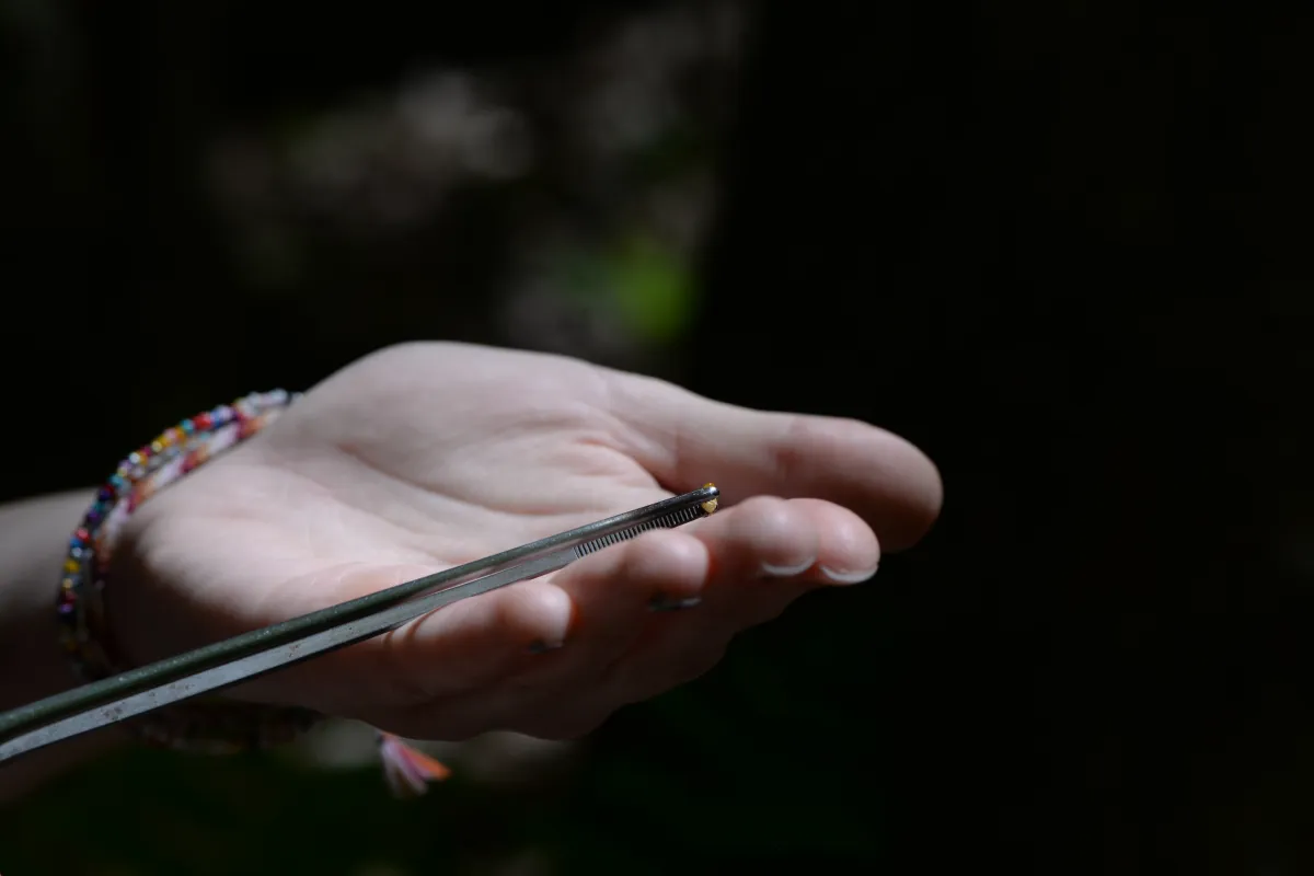 Close up of hand and tweezers.