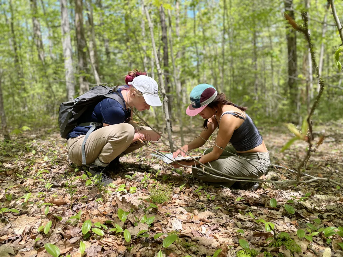 Two students with caps on crouching in the woods looking at a field guide.