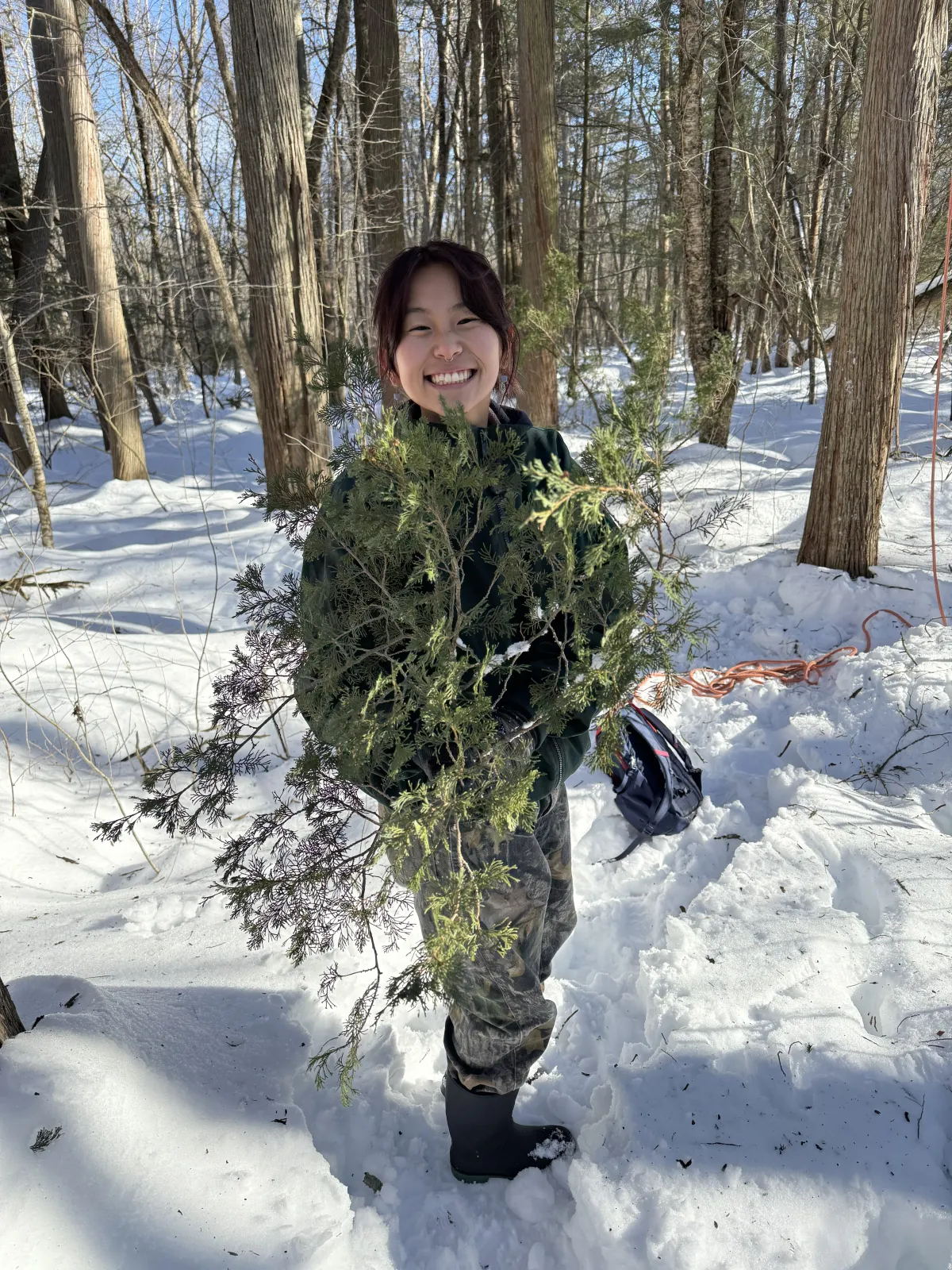 Student with dark hair in snowy woods holding a cedar branch.