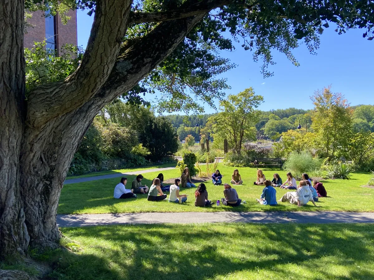 students sitting in a circle on a grassy area under tree.
