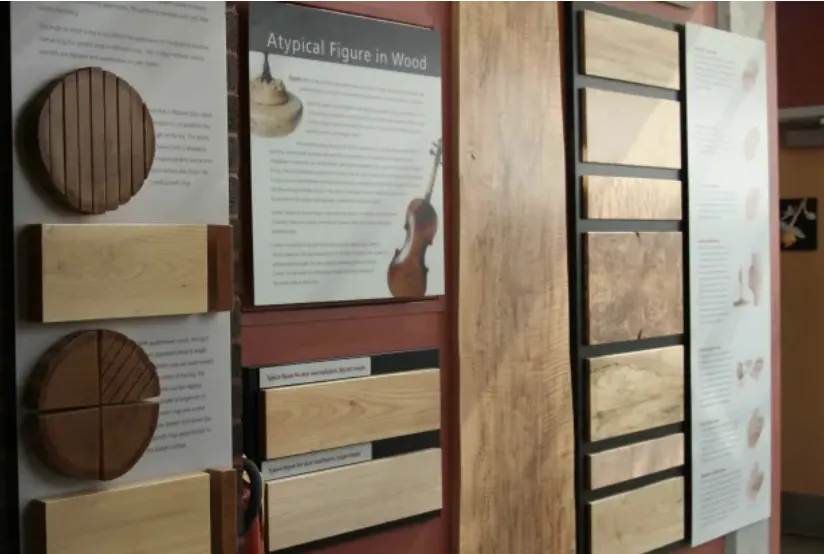 Exhibit featuring many examples of wood in the form of wood panels on a wall.