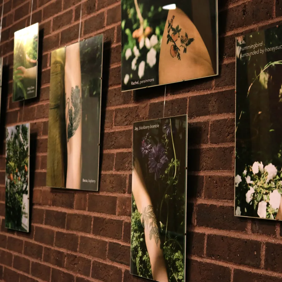 botanical bodies