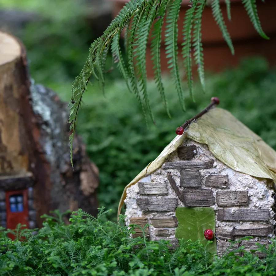 gnome home
