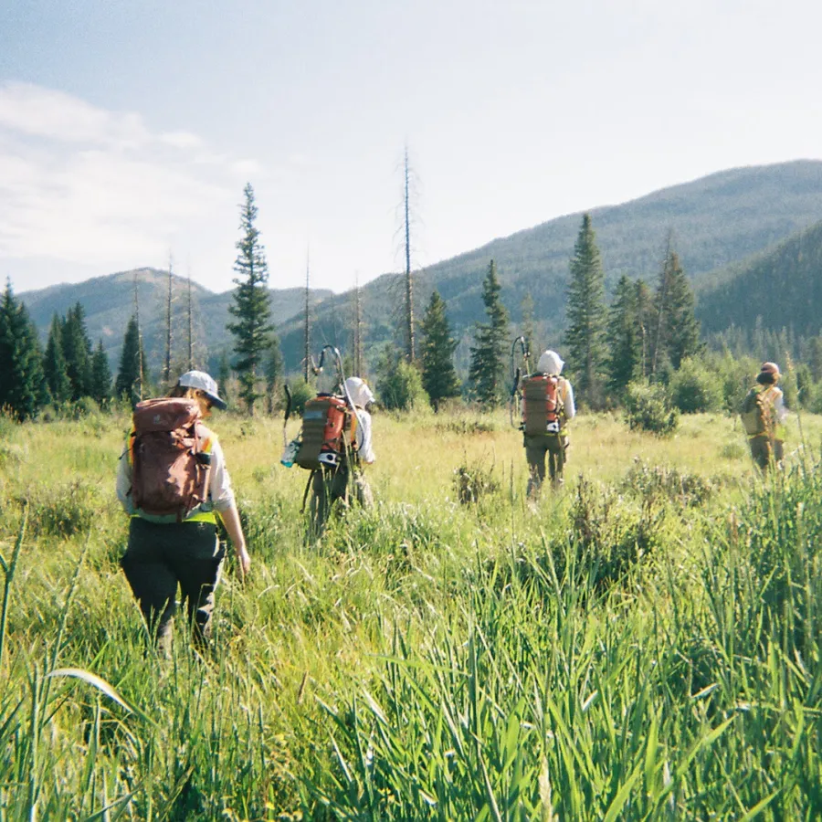 Field with five people walking it, backdrop of Colorado mountains