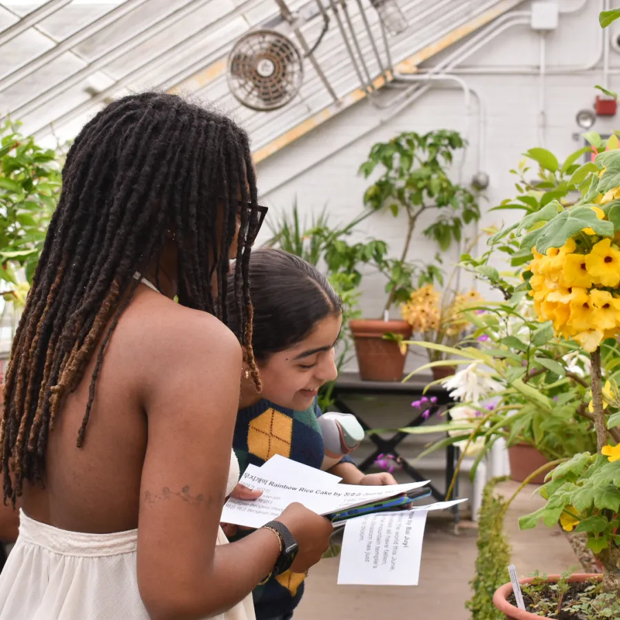 Two students looking at a plant with yellow flowers in the conservatory.