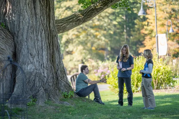 Two students standing and one sitting under a big ginkgo tree.