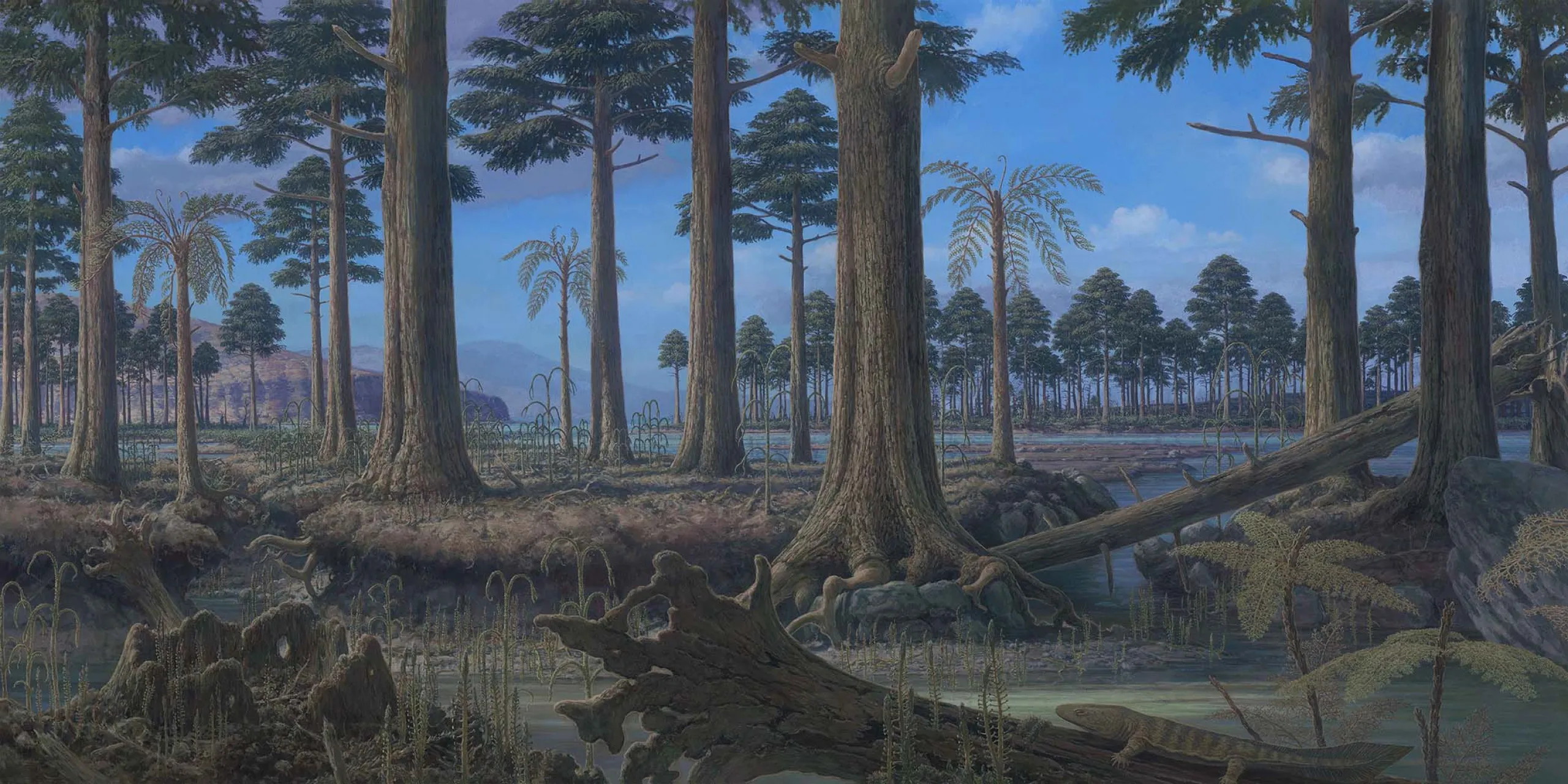 Panel of plant evolution