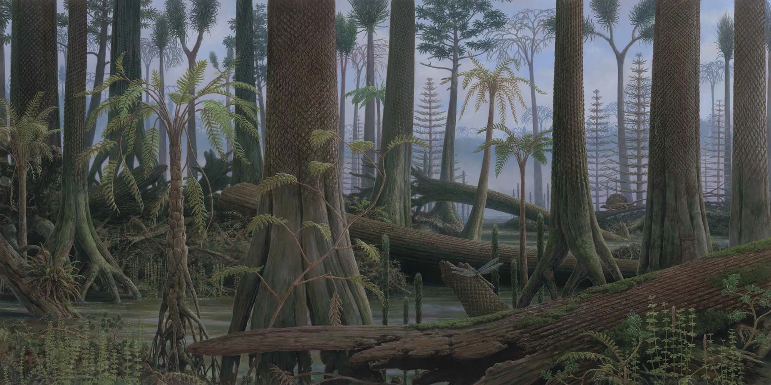 Panel of plant evolution