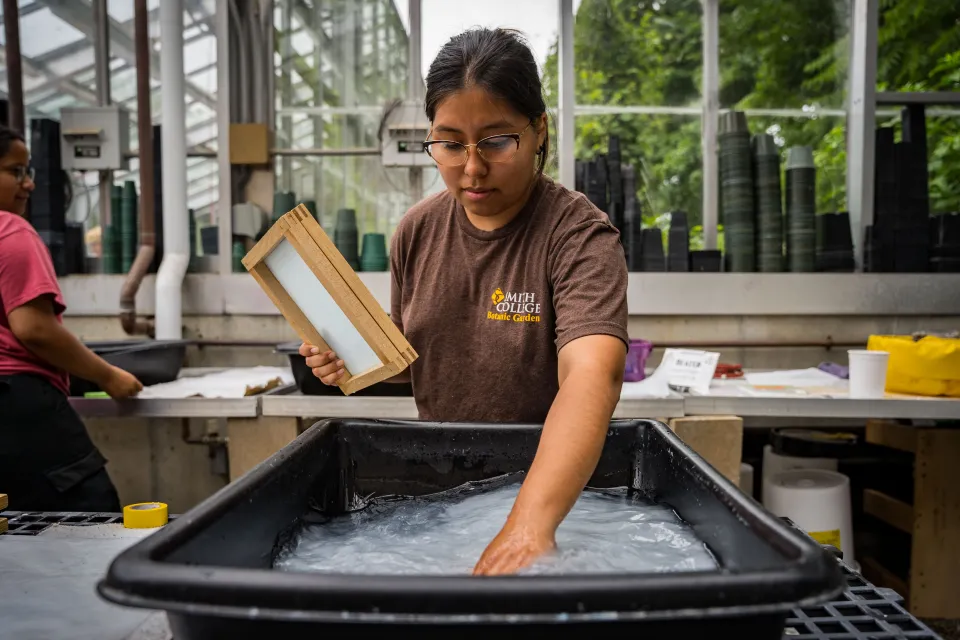 papermaking