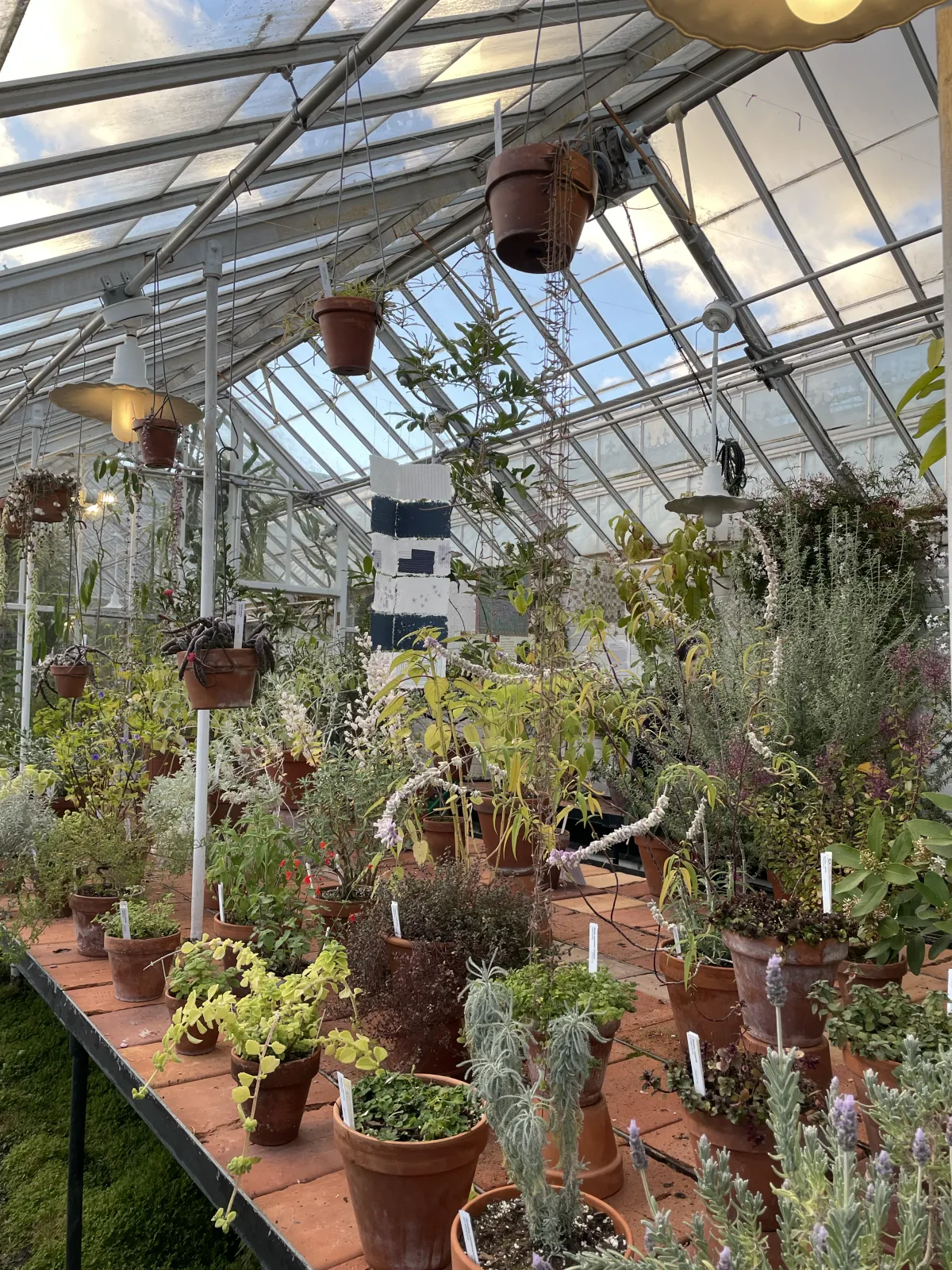 Handmade paper handing as a long scroll over a conservatory bench with potted plants