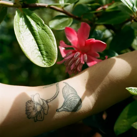 botanical tattoo