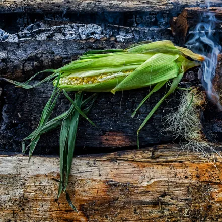 corn smoking on wood