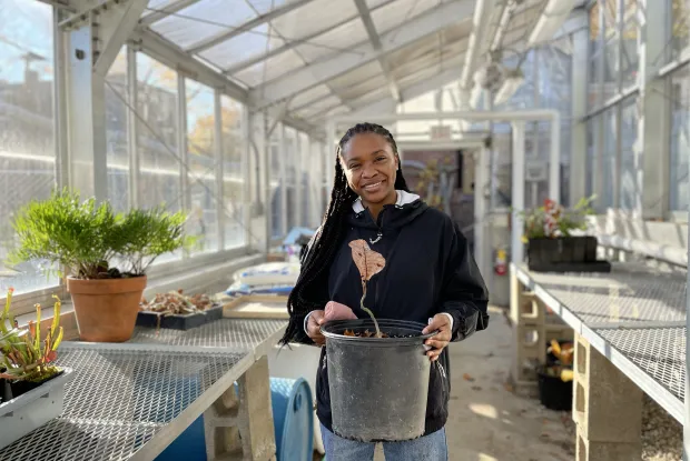 Adeline holding magnolia tree in capen greenhouse