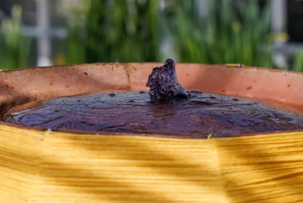 fountain