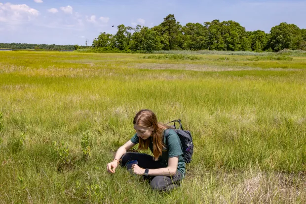 Student with long dark blonde hair in a field of tall grass.